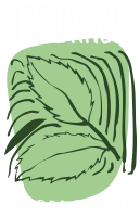 Yggdrasil Herboristerie