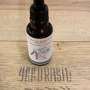 Bouleau pubescent (BIO)