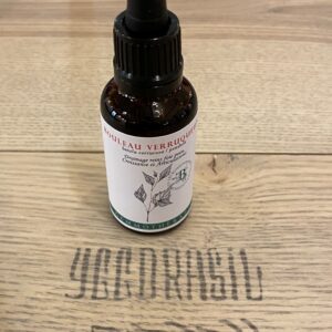 Bouleau verruqueux (BIO)