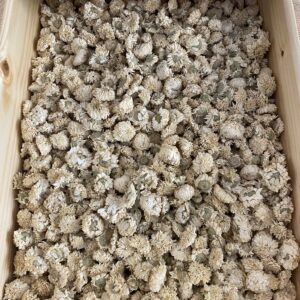 Camomille romaine (capitules entiers doubles BIO)