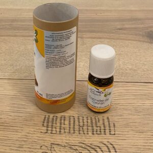Cannelier de Ceylan (BIO)