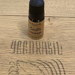 Carotte sauvage (BIO)