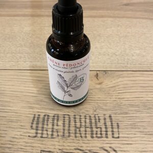 Chêne pédonculé châtons (BIO)