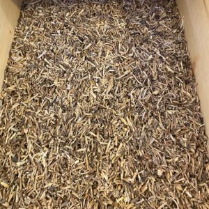 Chiendent (rhizomes coupées BIO)