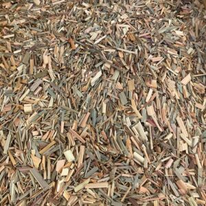 Citronnelles (feuilles coupées BIO)