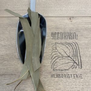 Eucalyptus globuleux (feuilles entières BIO)