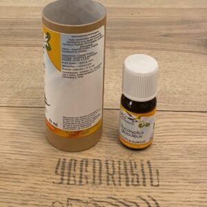 Eucalyptus globuleux (BIO)
