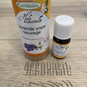 Lavande vraie sauvage (BIO)