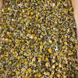 Matricaire (capitules BIO)