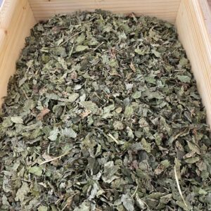 Mélisse (feuilles coupées BIO)