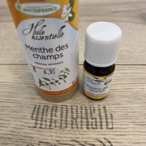 Menthe des champs (BIO-non dementholée)