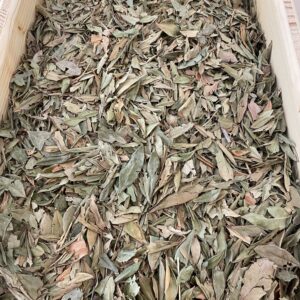 Myrte (feuilles entières BIO)