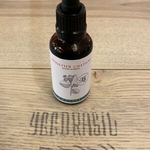 Noisetier châtons (BIO)