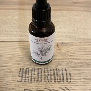 Platane (BIO)
