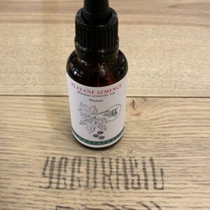 Platane semence (BIO)