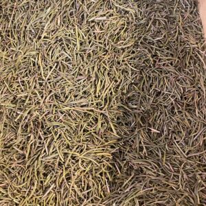 Romarin (feuilles mondées BIO)