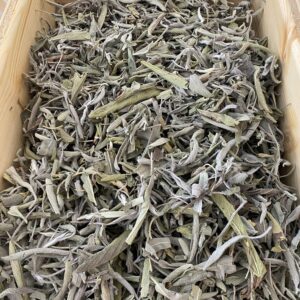 Sauge officinale (feuilles entières BIO)