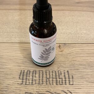 Sorbier domestique (BIO)
