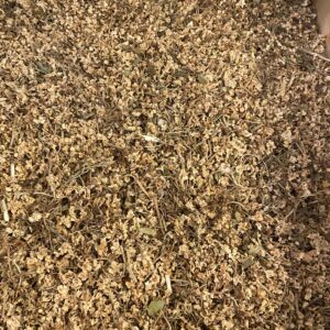 Sureau noir (fleurs mondées BIO)