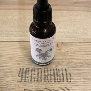 Viorne lantane (BIO)