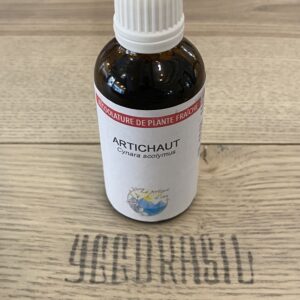 Artichaut (BIO)