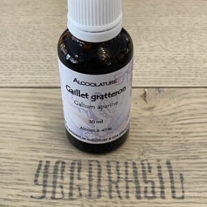 Gaillet gratteron (BIO)