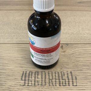 Hysope (BIO)