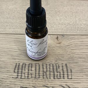 Yggdrasil Herboristerie