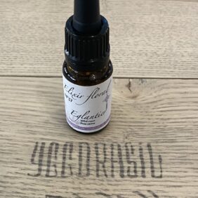 Yggdrasil Herboristerie