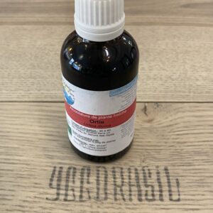 Ortie (BIO)