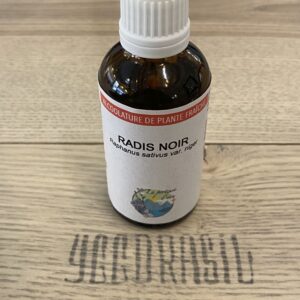Radis noir (BIO)