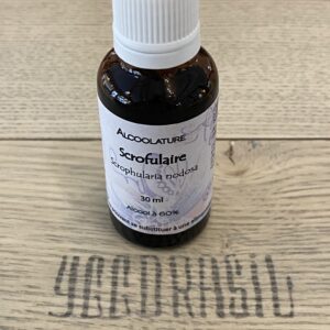 Scrofulaire (BIO)