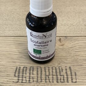 Scutellaire