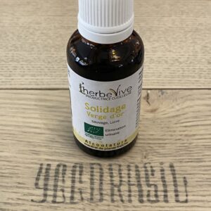 Solidage verge d'or (BIO)
