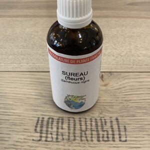 Sureau (fleurs) (BIO)