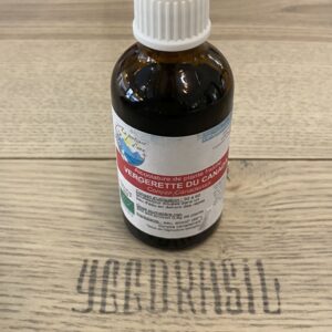 Vergerette du Canada (BIO)