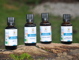 Alcoolature - Extraits Hydroalcoolique