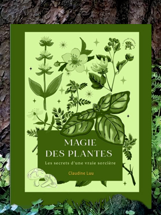Yggdrasil Herboristerie - Librairie
