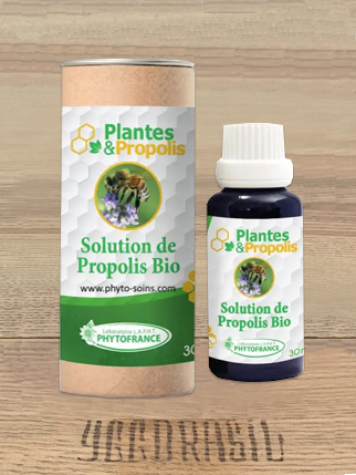 Yggdrasil Herboristerie - Produits de la ruche
