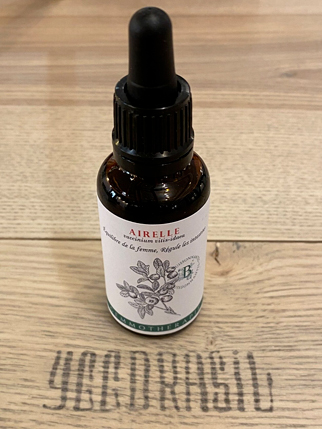 Yggdrasil Herboristerie