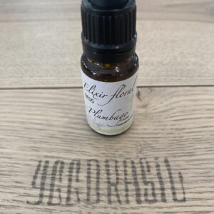 N°26-Hélianthème